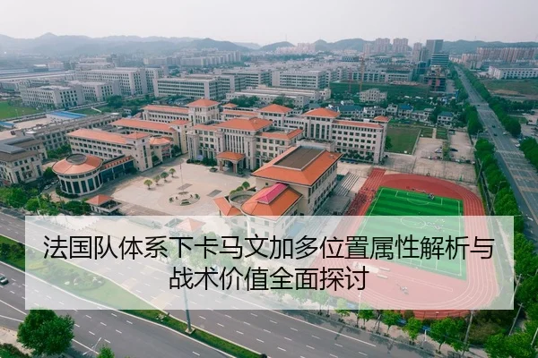 法国队体系下卡马文加多位置属性解析与战术价值全面探讨
